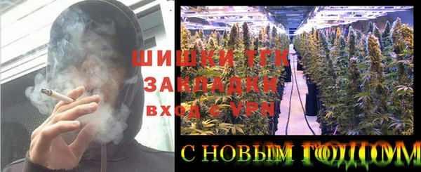 мяу мяу мука Арсеньев